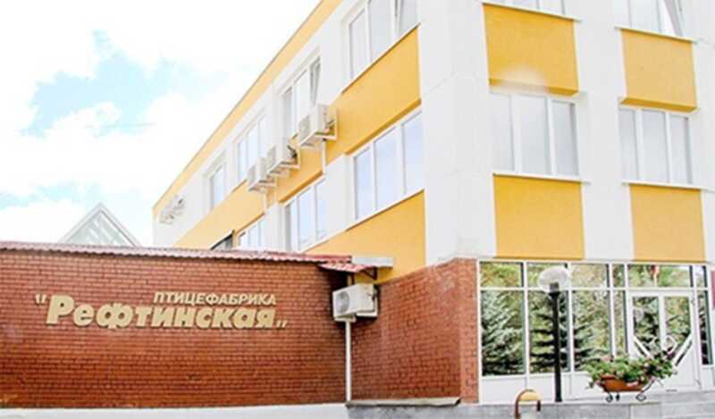 Кассовый разрыв на полмиллиарда и подмена штата: налоговики Урала проверяют «Рефтинскую» на махинации с НДФЛ и соцвзносами
