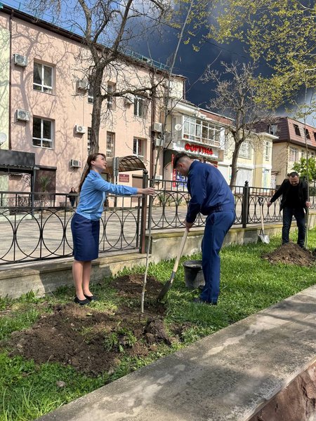 Пожар на НПЗ в Туапсе – в прокуратуре садят деревья hhideziriqukkmp